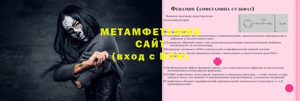 прущие грибы Покровск