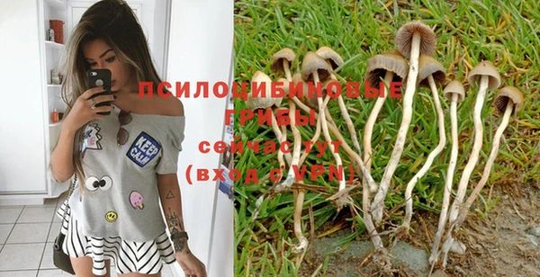 МДПВ Лиски